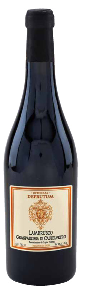 Lambrusco Grasparossa Di Castelvetro D.O.P. 750ml - 1